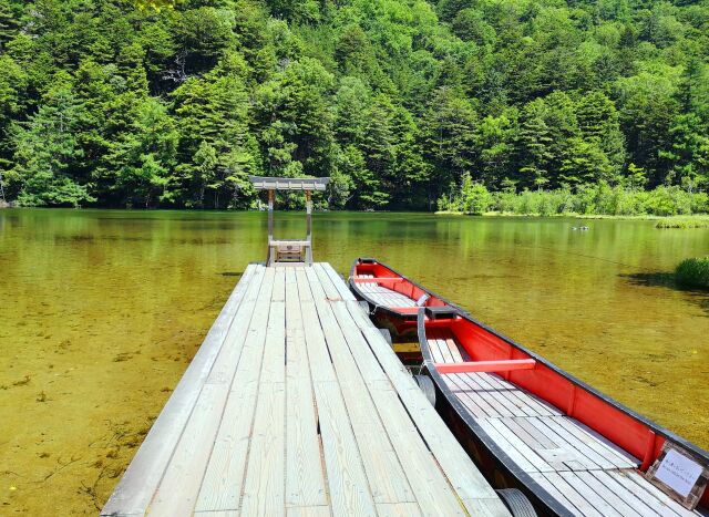 夏の明神池