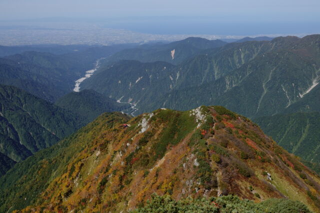 早月尾根を望む