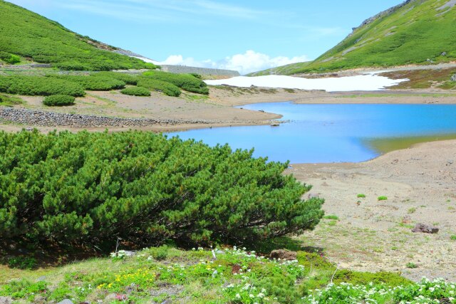 夏の乗鞍岳