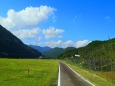 夏の里山