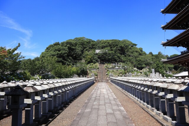 石灯籠の境内