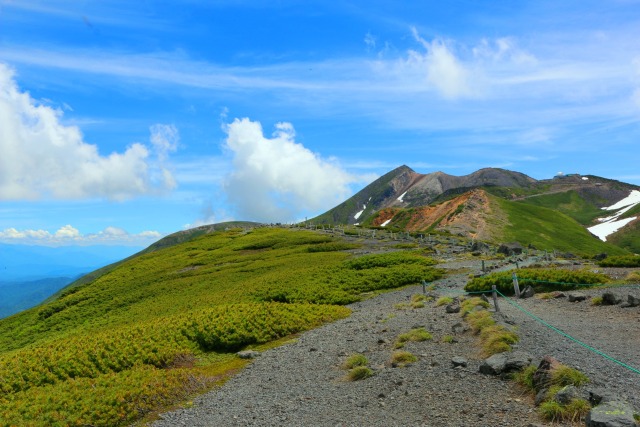 夏の乗鞍岳