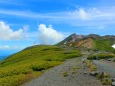 夏の乗鞍岳