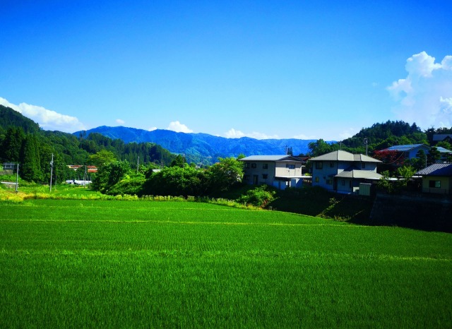 夏の里山