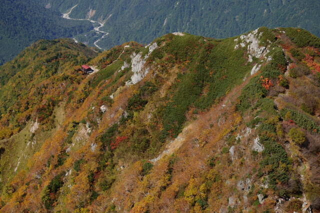 色付く早月尾根