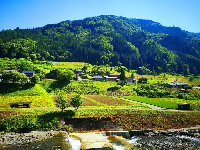 夏の里山