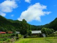 夏の里山