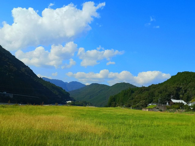 夏の里山