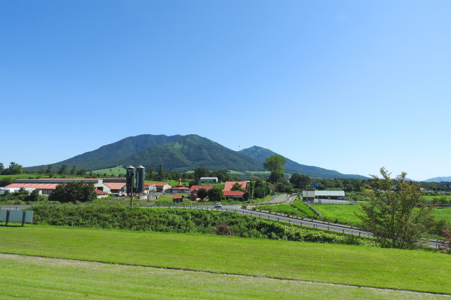 高原 牧場 夏 4