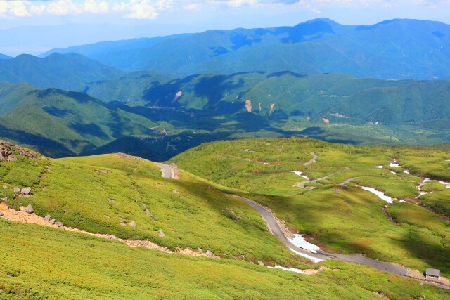 夏の乗鞍岳