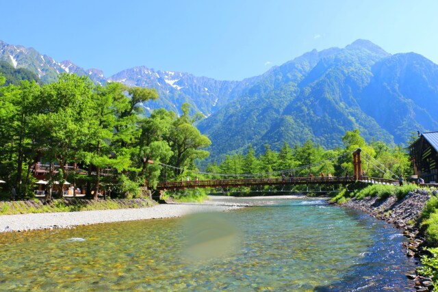 夏の花河童橋