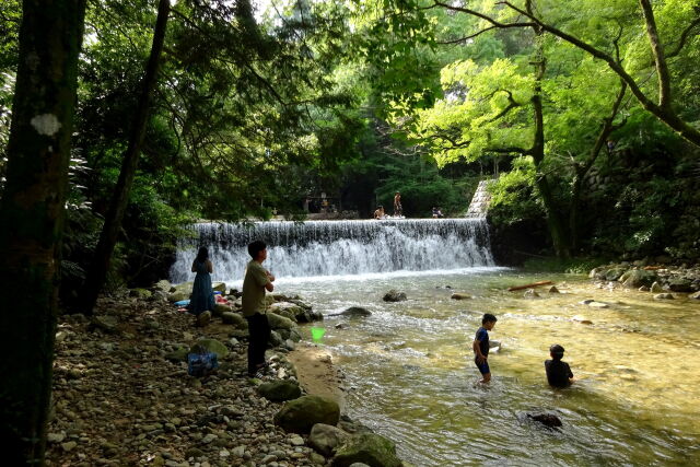 夏休み 涼しい川遊び