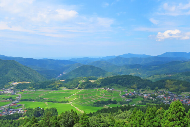 山里の夏