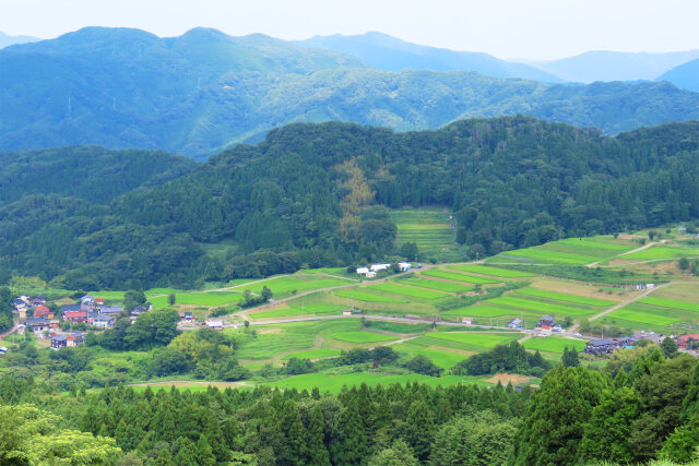 山里の夏 2