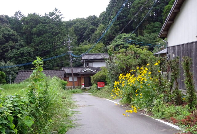 山間部レストランへの道