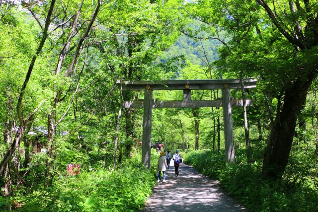 夏の穂高神社