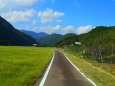 夏の里山