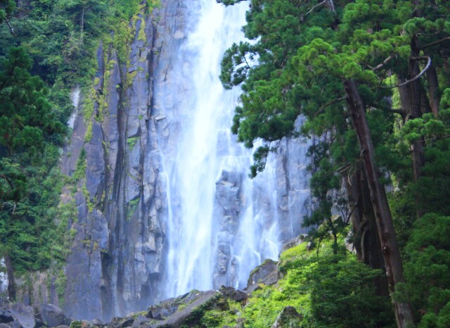 夏の那智の滝