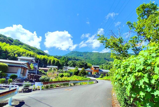 夏の里山