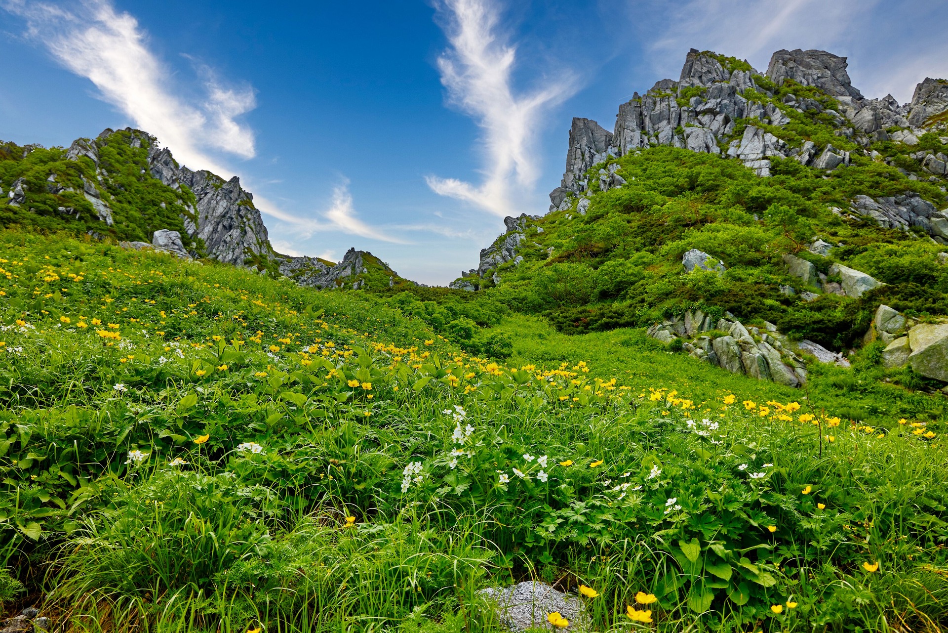 日本の風景 天空のお花畑 壁紙19x1281 壁紙館