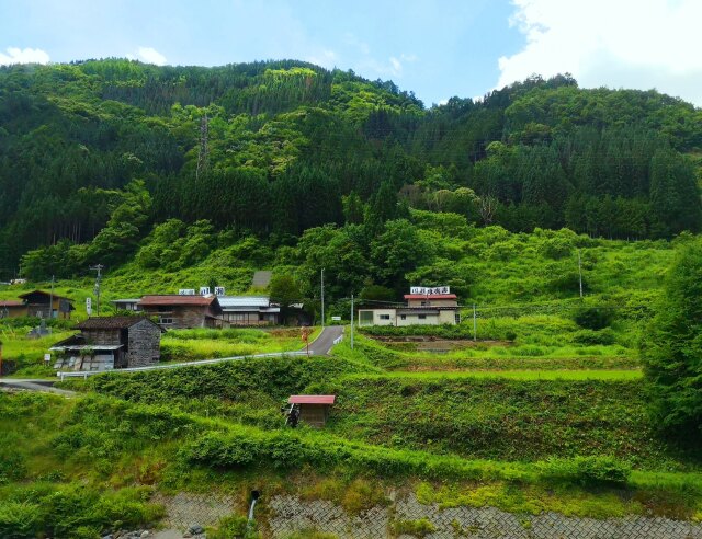 夏の里山