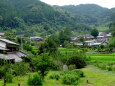 山村集落の夏景色