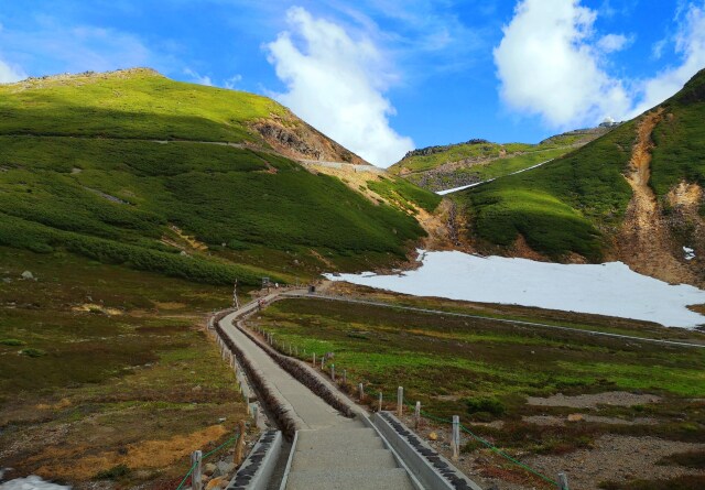 夏の乗鞍岳