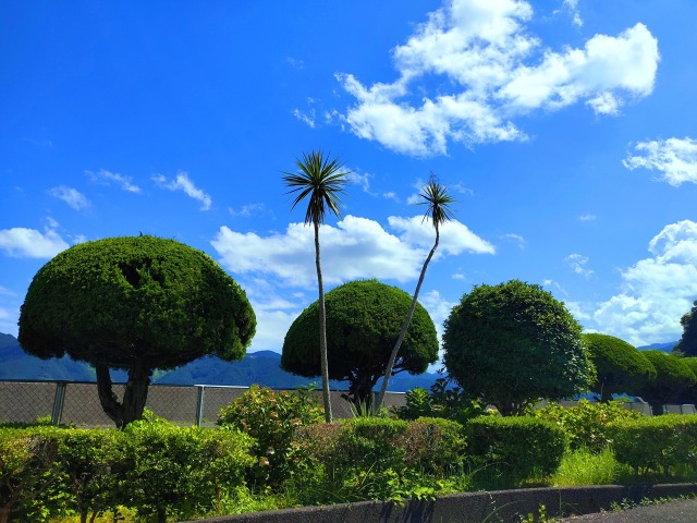 夏空