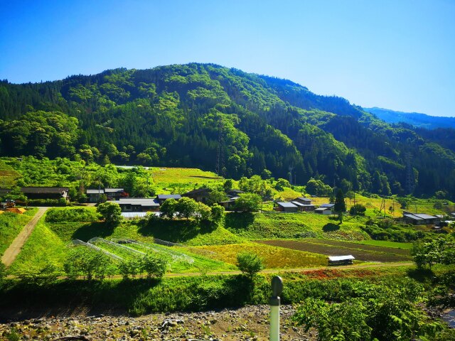 夏の里山