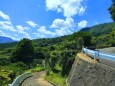 夏の里山