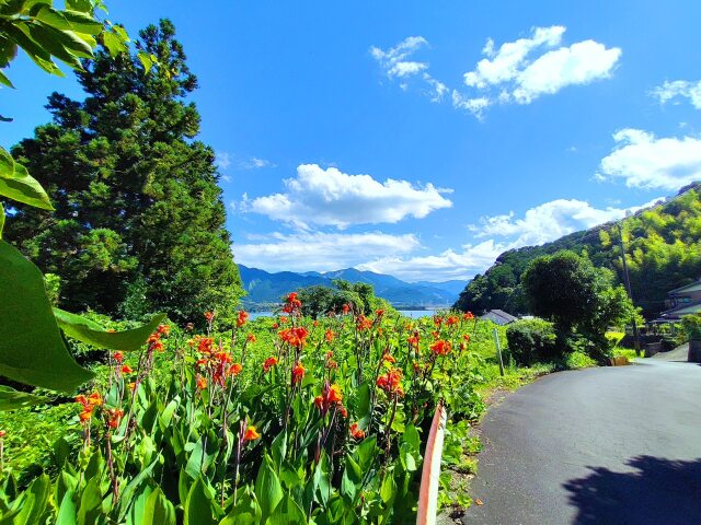 夏空