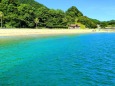 夏の海