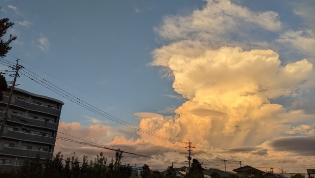 夕陽を受ける積乱雲