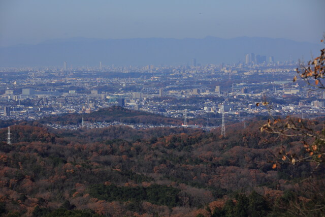 秋の根引峠にて