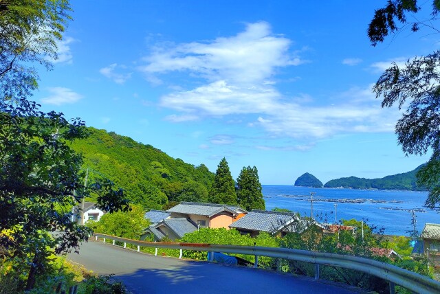 夏の海