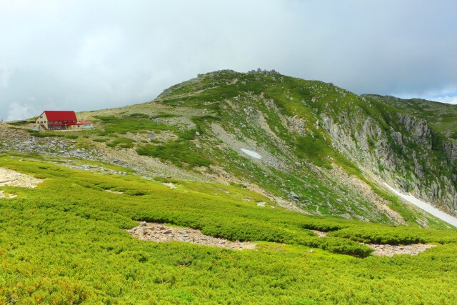 夏の駒ヶ岳