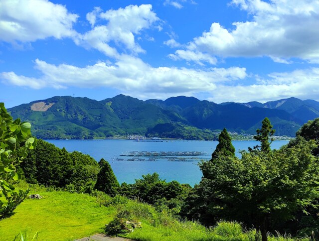 夏の海