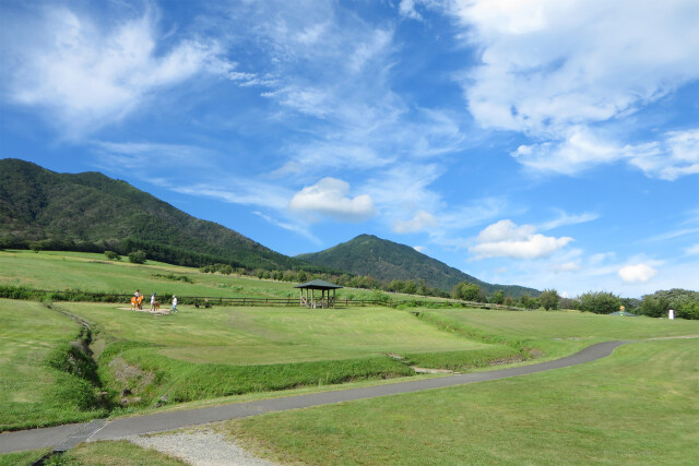 高原 牧場 夏 7