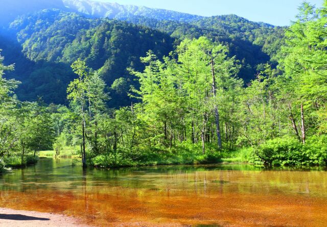 夏の上高地