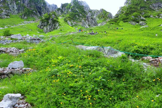 夏の千畳敷