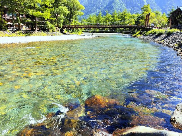 夏の河童橋