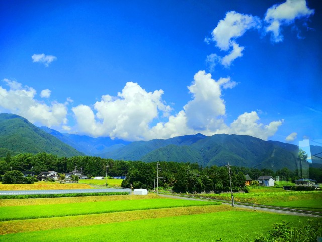 夏の里山