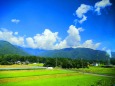 夏の里山