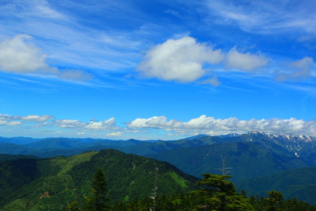 夏の乗鞍高原