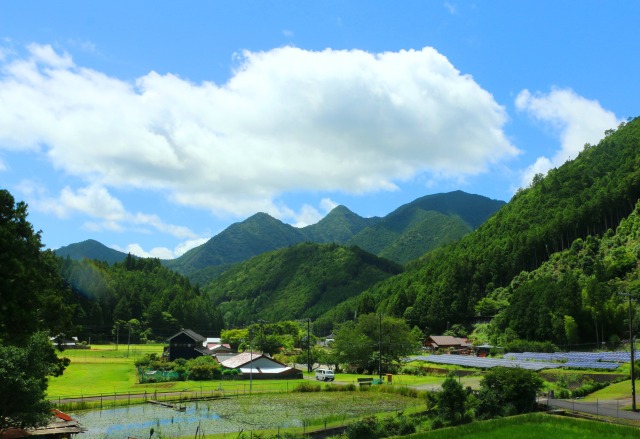 夏の里山