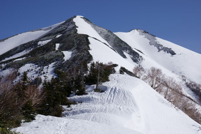 爺ヶ岳南尾根にて