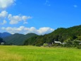 夏の里山