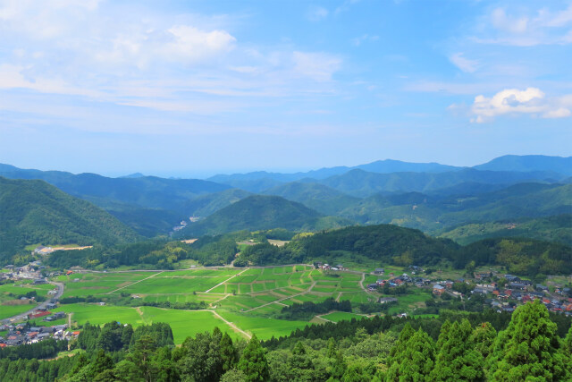 山里の夏 5