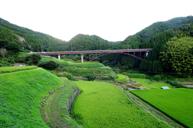 R323へ出る前の山間道路の橋