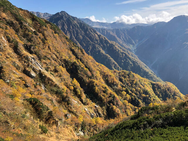 金色の山